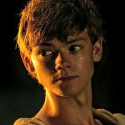 Newt