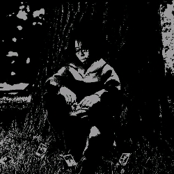 The observer 