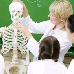 Physiology teacher