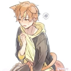 Akito Shinonome Neko
