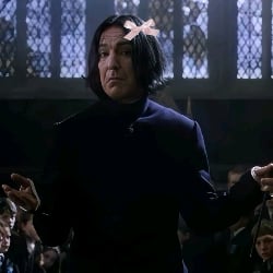 Severus Snape is a black cat