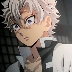Sanemi Shinazugawa ||🌬🍃