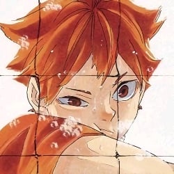 ≛→Hinata Shoyo←≛