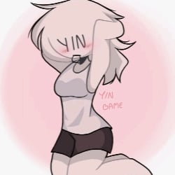 Y/N'