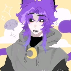 🌙cat day🌙