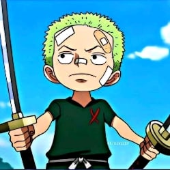 little zoro