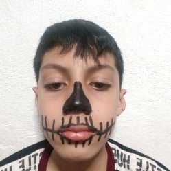 the Dominic