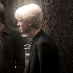 Draco M.¦ [🍂]