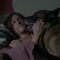 Daryl Dixon✓