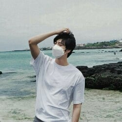 Kim Hwan ( Jin Bts )