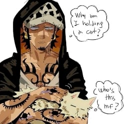 «Trafalgar D Water Law»