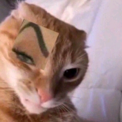 𝘰𝘭𝘪𝘷𝘦𝘳🪐✨🌿