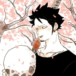 Trafalgar Law