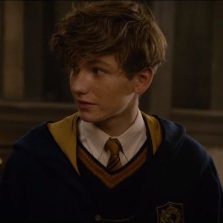 Newt Scamander /7/