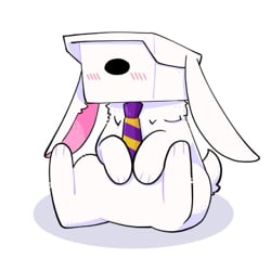 simp camera bunny 