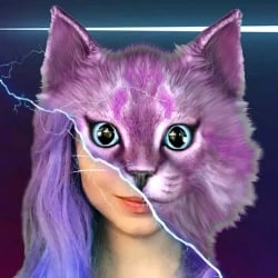 Cat Lana
