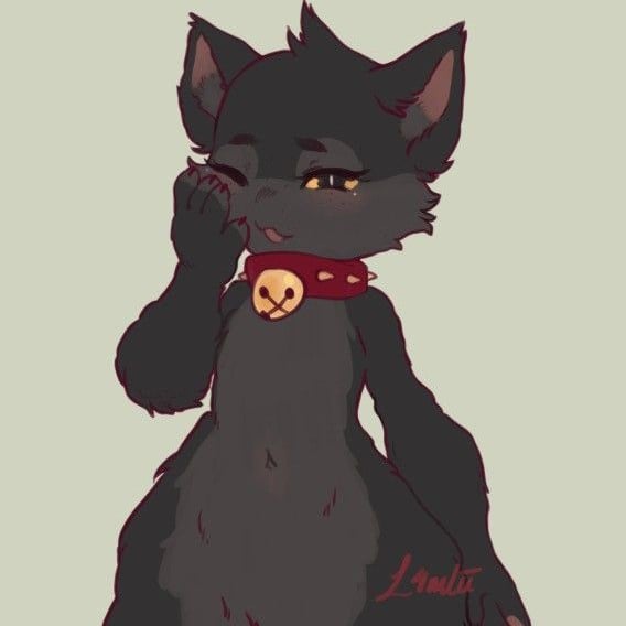 Breeze The Cat