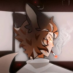 softness_nya