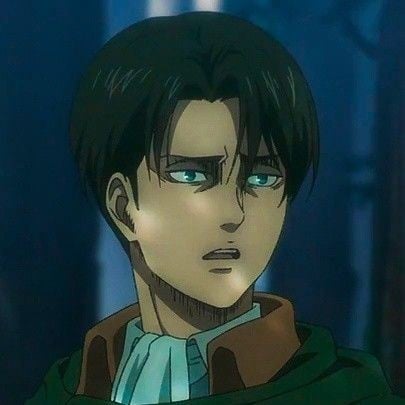 Levi Ackerman🗣️