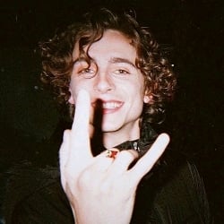 timothy chalamet