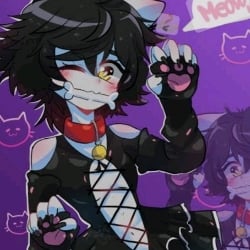 meow 1