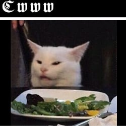 Eww kitten🐱