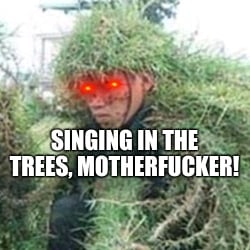 Vietnamese Man in the Trees