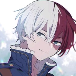 Shota Todoroki