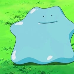 blue ditto