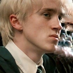 Draco Malfoy || Rosa, how pretty you are...🌹