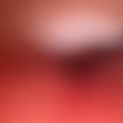 picture scanner