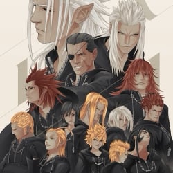 Organization 13