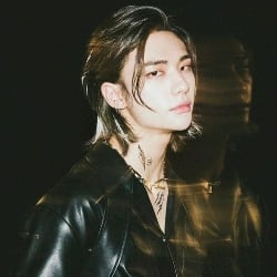 ⁎⁺˳✧༚|| Hwang Hyunjin¹