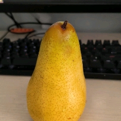 Pear