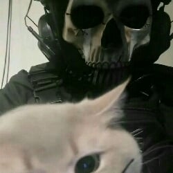 Ghost 🐱🌹