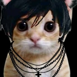 Emo cat🎸🎸