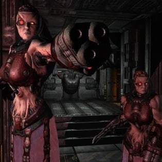 Two Iron Maidens