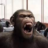 planet of the apes rp (improved) sorry I accidentally deleted my old account for those who knew me