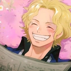 ☆彡彡ѕαвσMimi☆
