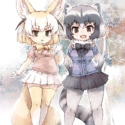 boreal raccoon and fennec fox