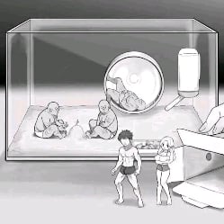 Human Hamsters