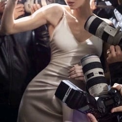 Celebrity Simulator