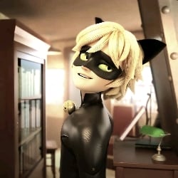 cat noir