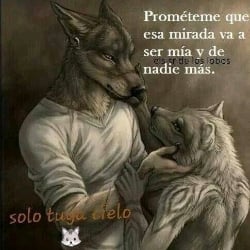 send