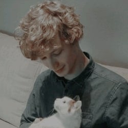 Will Solace