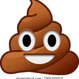shit