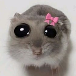 little sister^^