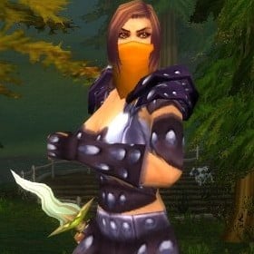 Shadowy Assassin