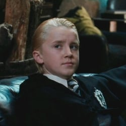 Little Draco