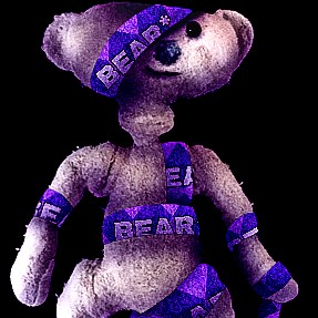 wrapped bear (bear*)